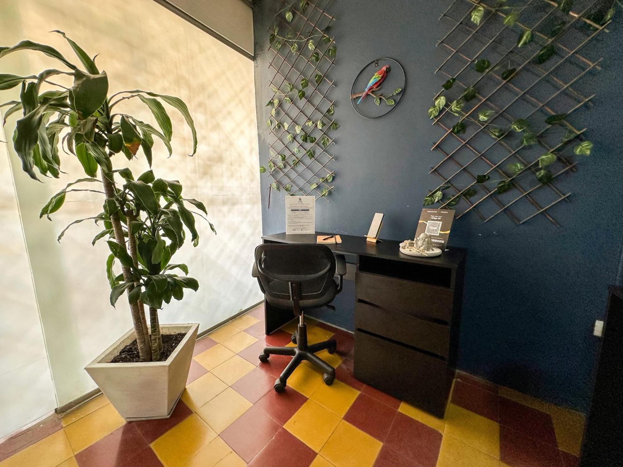 מדיין Casa Encanto, Apartamento - Habitaciones, Laureles-America מראה חיצוני תמונה